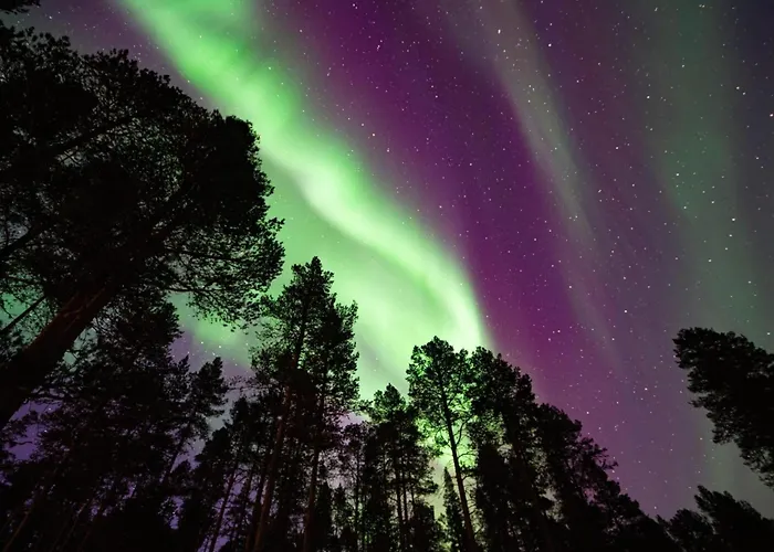 Peurankuoppa By Interhome * Lemmenjoki